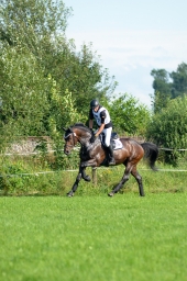 laupheim-2014_vl-abteilung1-091-jpg