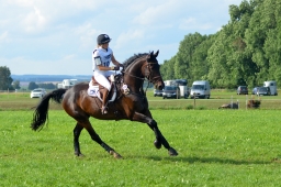 laupheim-2014_vl-abteilung1-092-jpg
