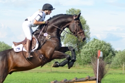 laupheim-2014_vl-abteilung1-093-jpg