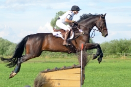 laupheim-2014_vl-abteilung1-094-jpg