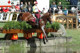 luhmuehlen-2009_cic3-006-jpg