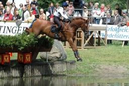 luhmuehlen-2009_cic3-034-jpg
