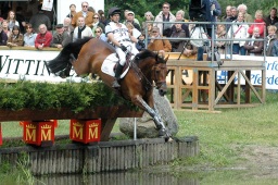 luhmuehlen-2009_cic3-037-jpg