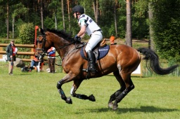 luhmuehlen-2009_cic3-060-jpg