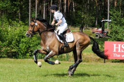 luhmuehlen-2009_cic3-063-jpg