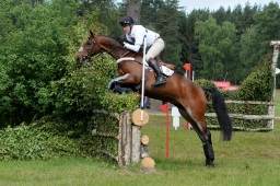 luhmuehlen-2009_cic3-065-jpg