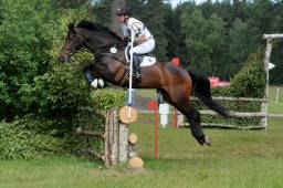 luhmuehlen-2009_cic3-067-jpg