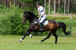 luhmuehlen-2009_cic3-068-jpg