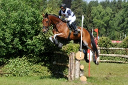 luhmuehlen-2009_cic3-070-jpg