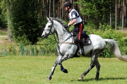 luhmuehlen-2009_cic3-077-jpg
