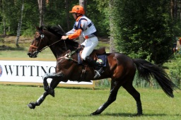 luhmuehlen-2009_cic3-079-jpg