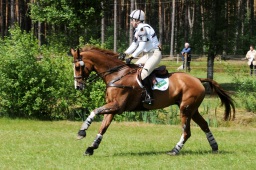 luhmuehlen-2009_cic3-084-jpg