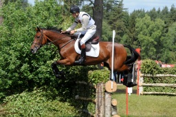 luhmuehlen-2009_cic3-085-jpg