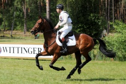 luhmuehlen-2009_cic3-086-jpg