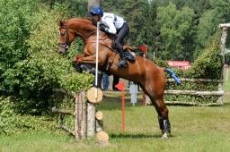 luhmuehlen-2009_cic3-098-jpg