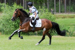 luhmuehlen-2009_cic3-103-jpg