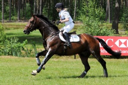 luhmuehlen-2009_cic3-112-jpg