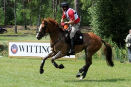 luhmuehlen-2009_cic3-114-jpg