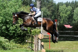 luhmuehlen-2009_cic3-121-jpg