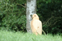 luhmuehlen-2010_cci4-002-jpg