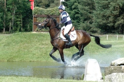 luhmuehlen-2010_cci4-007-jpg
