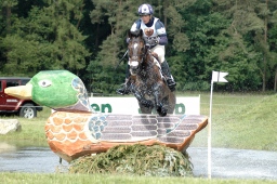luhmuehlen-2010_cci4-009-jpg