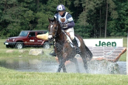 luhmuehlen-2010_cci4-010-jpg