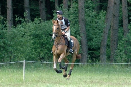 luhmuehlen-2010_cci4-012-jpg