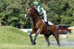 luhmuehlen-2010_cci4-020-jpg