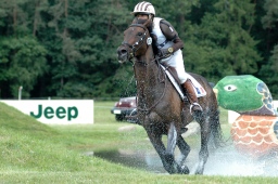 luhmuehlen-2010_cci4-035-jpg