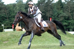 luhmuehlen-2010_cci4-036-jpg