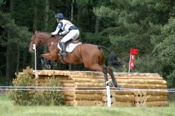 luhmuehlen-2010_cci4-040-jpg