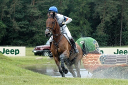 luhmuehlen-2010_cci4-049-jpg
