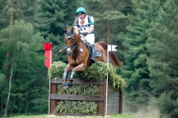 luhmuehlen-2010_cci4-052-jpg