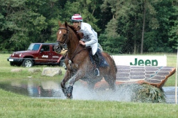 luhmuehlen-2010_cci4-054-jpg