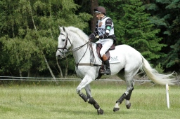 luhmuehlen-2010_cci4-055-jpg