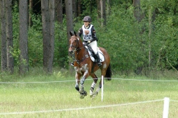 luhmuehlen-2010_cci4-059-jpg