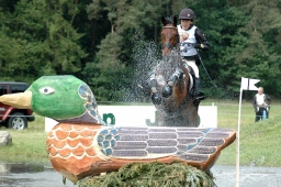 luhmuehlen-2010_cci4-062-jpg