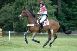 luhmuehlen-2010_cci4-067-jpg