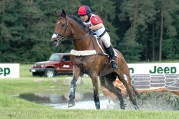 luhmuehlen-2010_cci4-068-jpg
