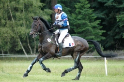 luhmuehlen-2010_cci4-069-jpg