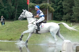 luhmuehlen-2010_cci4-071-jpg