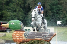 luhmuehlen-2010_cci4-072-jpg