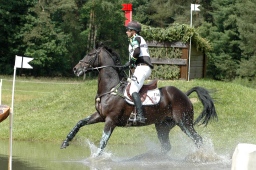 luhmuehlen-2010_cci4-075-jpg