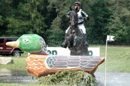 luhmuehlen-2010_cci4-077-jpg