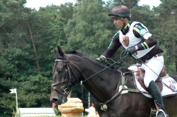 luhmuehlen-2010_cci4-079-jpg