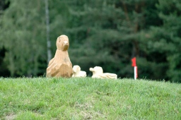 luhmuehlen-2010_cci4-081-jpg