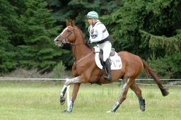 luhmuehlen-2010_cci4-082-jpg