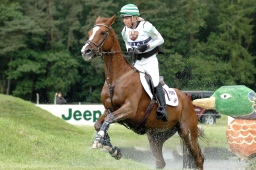 luhmuehlen-2010_cci4-083-jpg