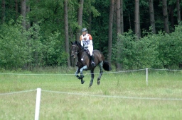 luhmuehlen-2010_cci4-084-jpg